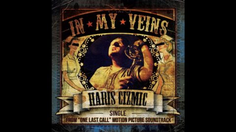 Haris Cizmic (AXA, Ingray)  - in my veins